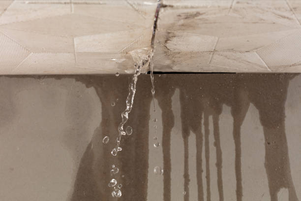 Professional Commercial Water Damage Restoration technician working in Mosheim, TN